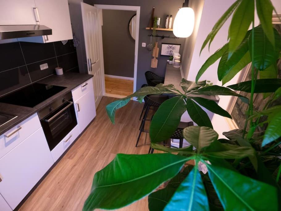 Apartmán Natuerlich Mit Stil - 24-7 Und Check-In Kiel Exteriér fotografie