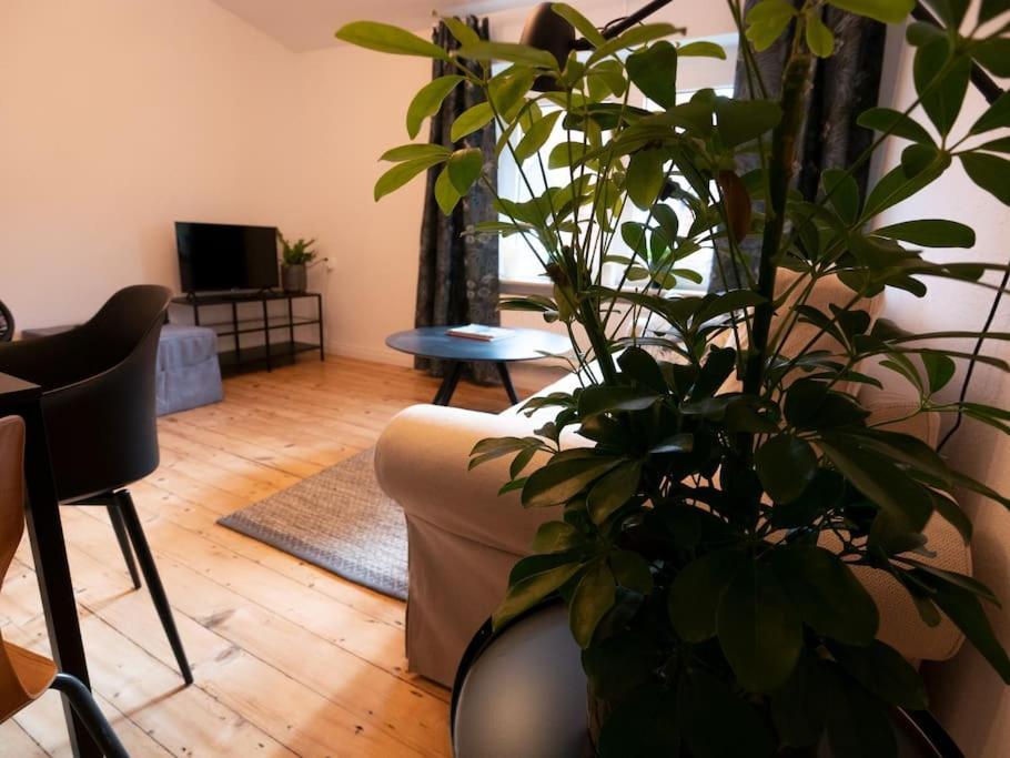 Apartmán Natuerlich Mit Stil - 24-7 Und Check-In Kiel Exteriér fotografie